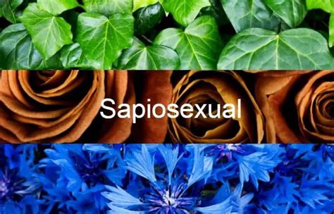 sabioseksuel|sapiosexual